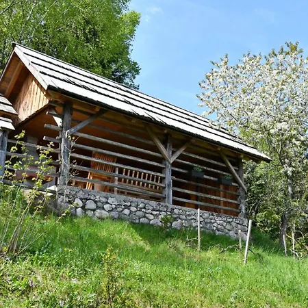 Apartma Jakopic *